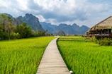 Tamedia Indochina 07. - 28.03.2026
