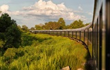 NZZ Rovos Rail «Pride of Africa» 2027