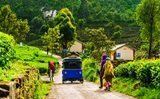 Tamedia Sri Lanka 20.02. - 04.03.2026