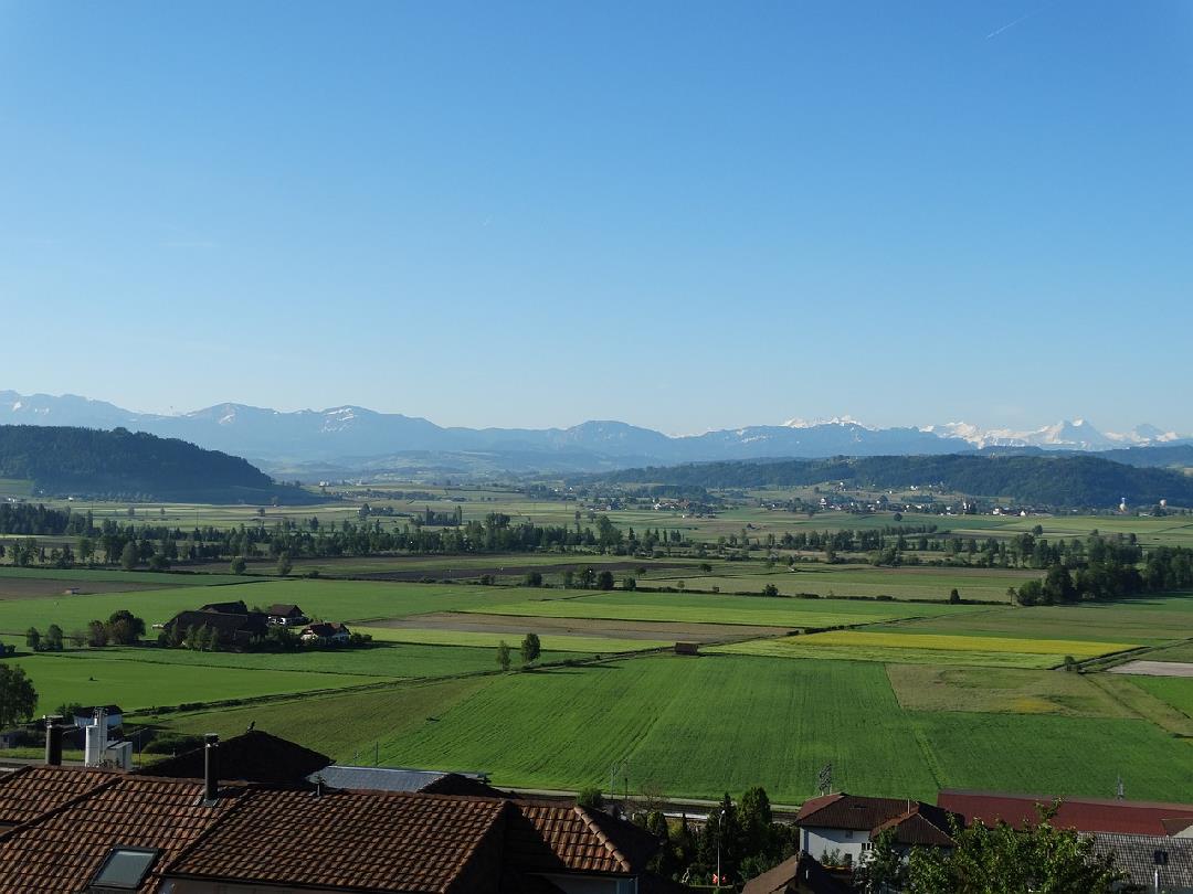 CHANZELGRABE - ZVIERI IM SAGELI, Do, 16.10.25