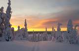 Ausflüge Salla, Winter