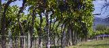 Weinreise ins Veneto