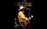 Zucchero