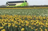 Holland zur Tulpenblüte 5 Tage