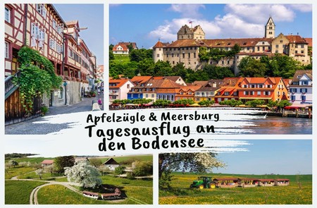 Apfelzügle -  Tagesausflug  an den Bodensee