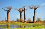 Madagaskar Rundreise