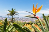 Madeira Erlebniswoche